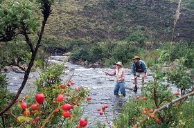 Guided Fly Fishing Packages