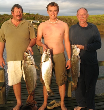 8Kg ; 6.8Kg; 5.6Kg Kob