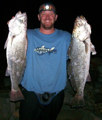 Kob - 6.0Kg and 6.5Kg