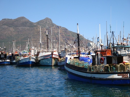 Hout Bay Fishing