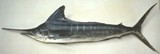 Striped Marlin - FishingInfo.co.za